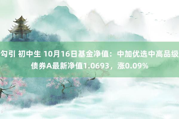 勾引 初中生 10月16日基金净值：中加优选中高品级债券A最新净值1.0693，涨0.09%