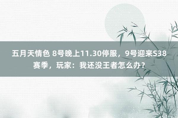 五月天情色 8号晚上11.30停服，9号迎来S38赛季，玩家：我还没王者怎么办？