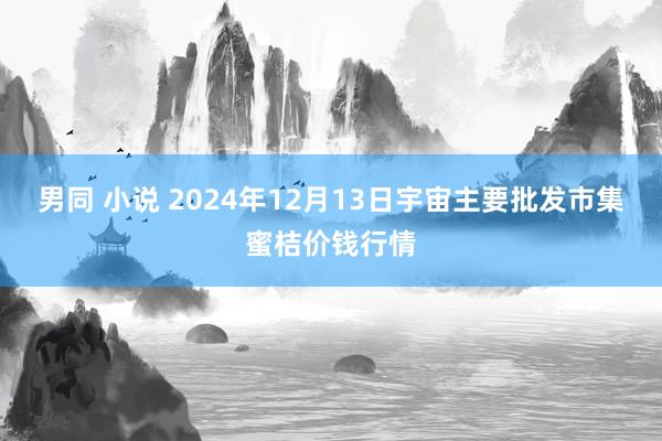 男同 小说 2024年12月13日宇宙主要批发市集蜜桔价钱行情